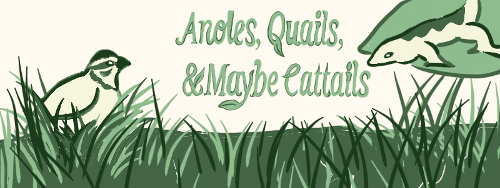Button. Art of a meadow. "Anoles, Quails and maybe cattails"