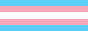 Button of a trans pride flag
